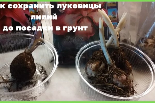 Кракен маркет даркент только через тор